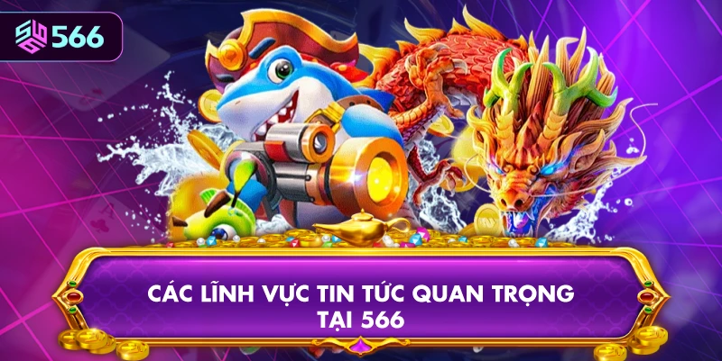 Các Lĩnh Vực Tin Tức Quan Trọng Tại 566